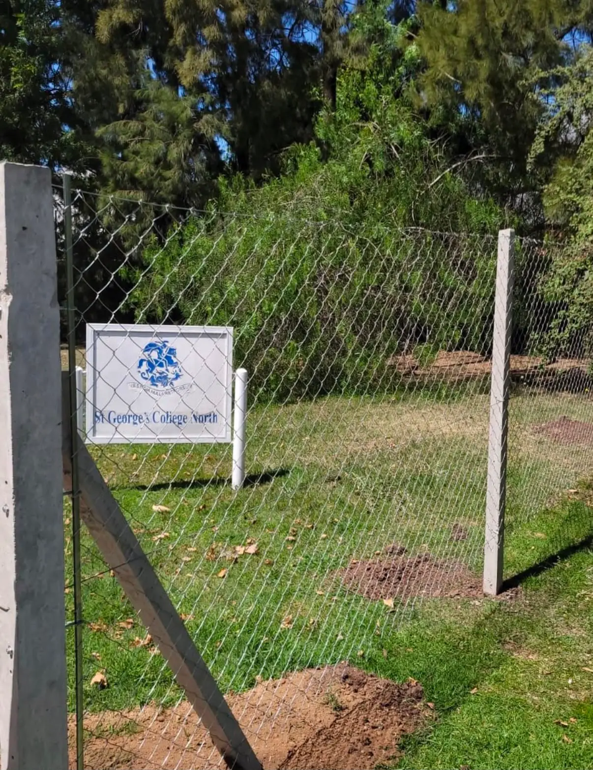 Alambrado de tejido romboidal sobre postes rectos de hormigón cerrando el parque de un colegio, con el césped y los pinos detrás
